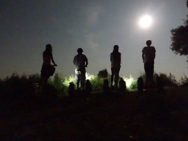 segway in the moonlight 